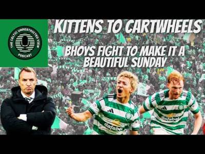 Kittens to Cartwheels // Hoops Show Fight and Character Against Steelmen