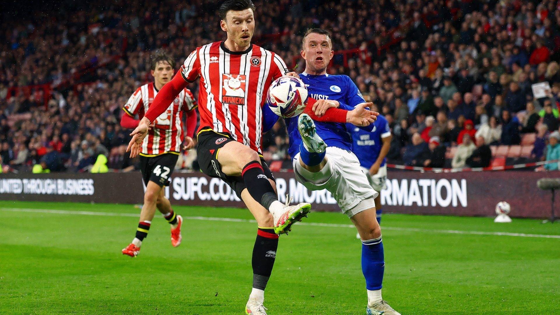 Cardiff City facing David Turnbull transfer regret &ndash; Celtic will laugh to the bank