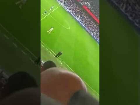 Angry Bear Rages At Rangers Directors Box? #rangers #rangersfc #rangersfans #angrybear #spfl