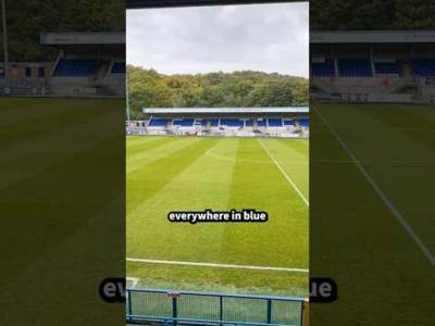 The BLUE Celtic! The BLUE Celtic!