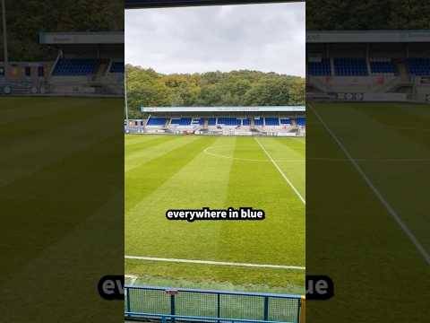 The BLUE Celtic!