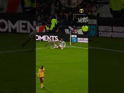 🐼 Paisley PASSION, Jamaican soul 🇯🇲