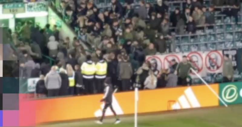 Green Brigade slapped with Celtic Park ban after police ‘assaulted’ during Falkirk flashpoint