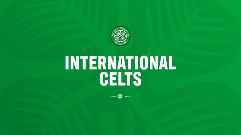 12 Celts set for international duty