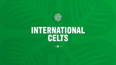 12 Celts set for international duty