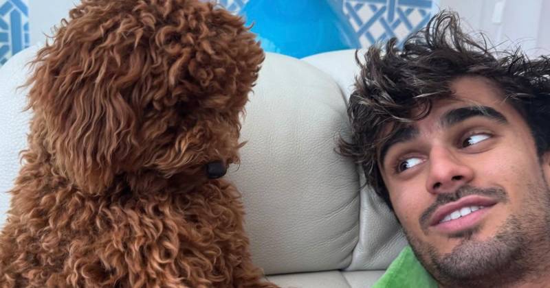 Celtic star Jota shares puppy pictures as injured ace left smitten by new pet
