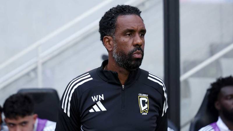 Celtic fans handed transfer worry if Wilfried Nancy becomes manager Celtic fans handed transfer worry if Wilfried Nancy becomes manager