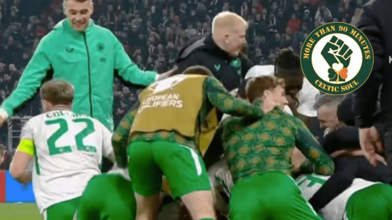 Hatrick Hero Parrot Scales the Heights