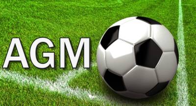 Reasons for Celtic Trust voting recommendations Reasons for Celtic Trust voting recommendations