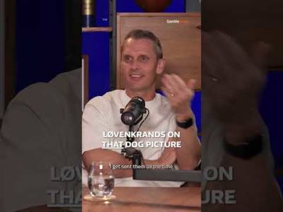 Ahead of Scotland facing Denmark. we wanted to revisit a classic moment with THAT dog. 🐕 Ahead of Scotland facing Denmark. we wanted to revisit a classic moment with THAT dog. 🐕