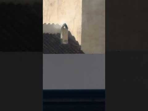 Celtic AGM vote results are in Celtic AGM vote results are in