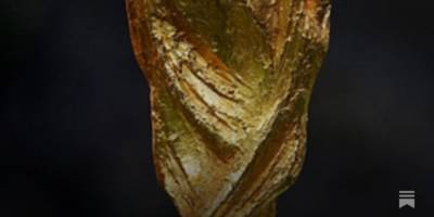 World Cup Fixtures Confirmed!