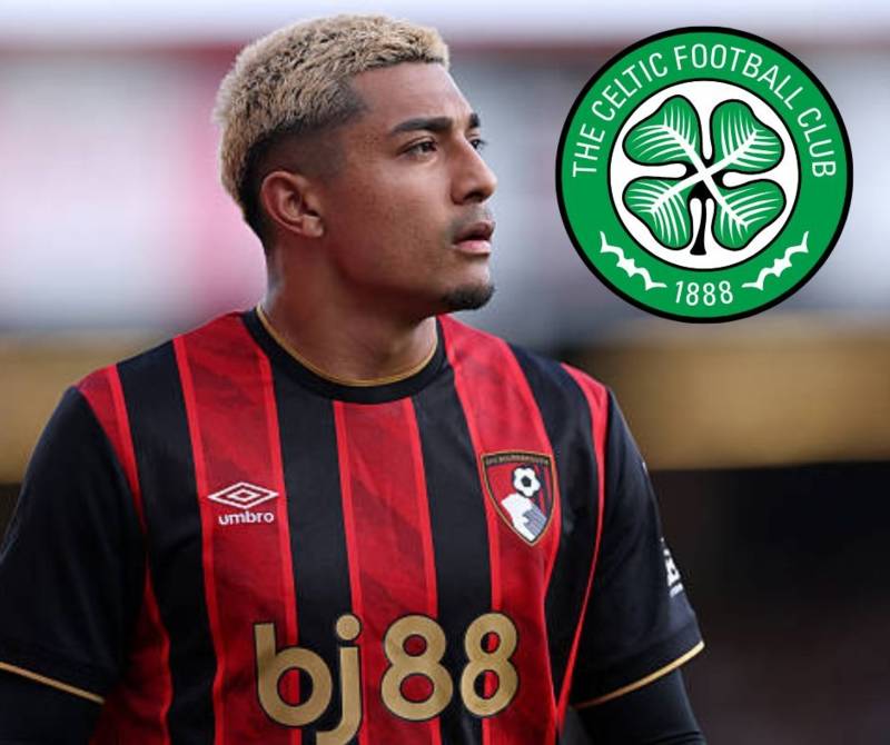 Celtic fans told exactly what they’re getting from Wilfried Nancy’s first January recruit as instant O** F*** impact targeted