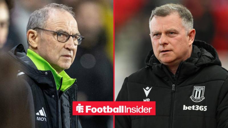 Revealed: Leader named in Stoke City & Celtic race to sign Crystal Palace star