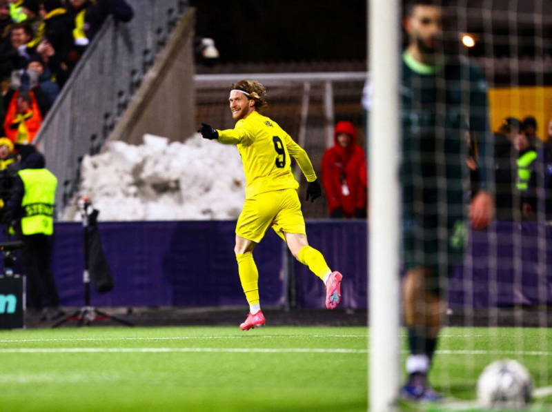 Celtic Enter Race for Bodo/Glimt Striker