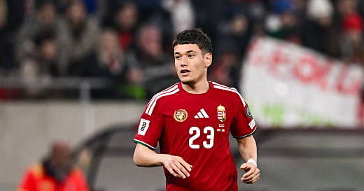 Celtic transfer state of play on 4 deals as Damir Redzic interest steps up and insider speaks out on target