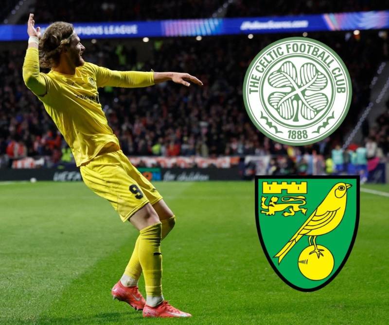 Celtic and Norwich City linked forward could remain at Champions League club despite £7m offer
