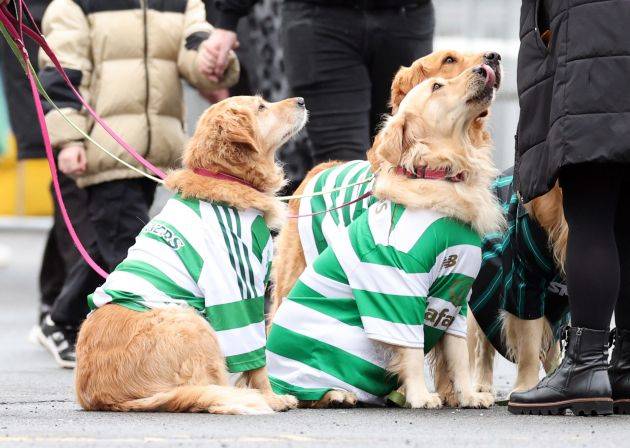 Celtic FC Fixtures Impacting Glasgow’s Local Economy