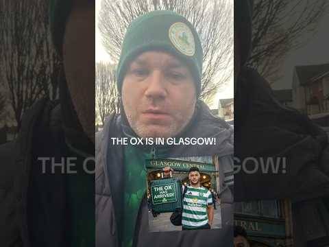 The OX is in Glasgow! #celticfc