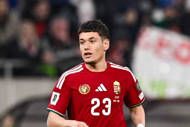 Celtic & Rangers both showed interest in Damir Redzic transfer