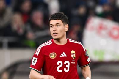 Celtic & Rangers both showed interest in Damir Redzic transfer