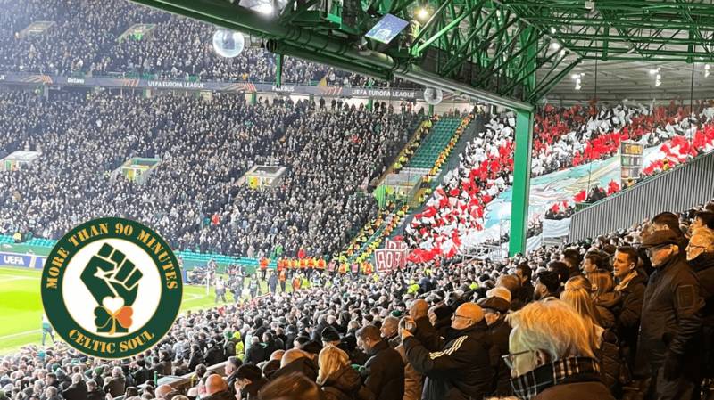 Back to Paradise – Backing the Team