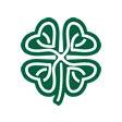 Meeting Between Celtic F.C. and Celtic Fans Collective
