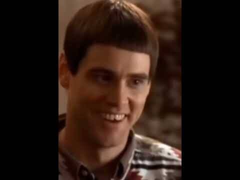 Every Celtic Fan right now😂🍀