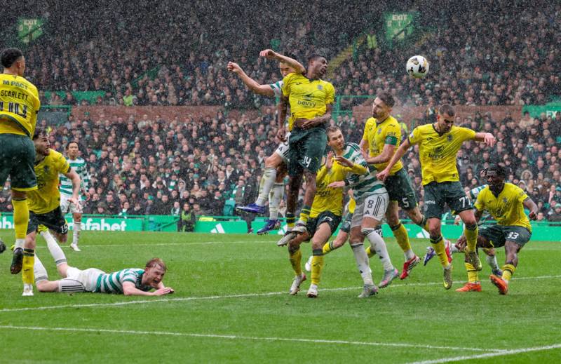 SFA ref chief says Celtic should have had penalty in costly defeat to Hibs