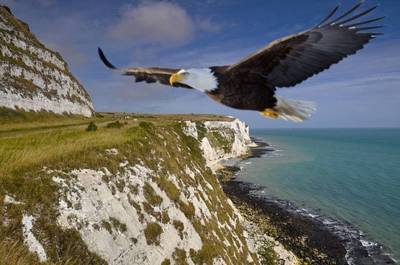 Always Look on the Right Side of Life.