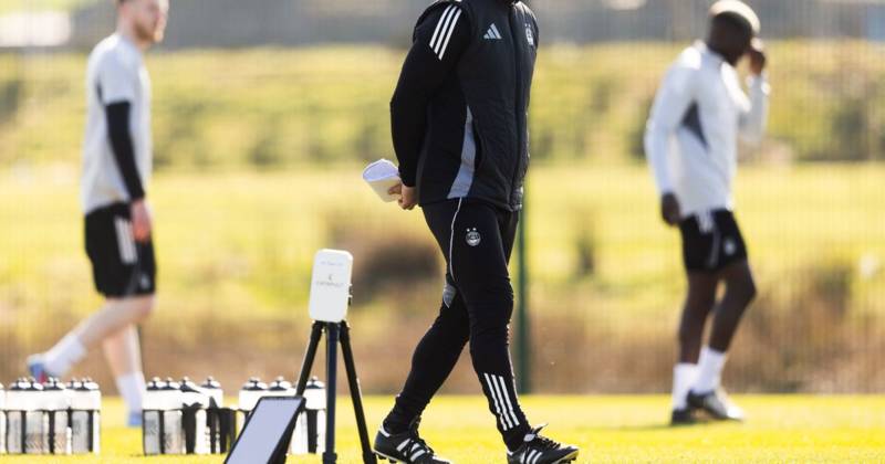 The new Aberdeen era uncloaked as clear Stephen Robinson message makes major impression on dressing room