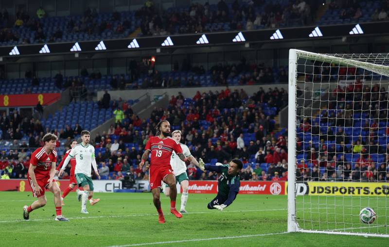 International ace backs ex Newcastle United and Liverpool star for club job amid next Celtic manager links