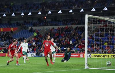 International ace backs ex Newcastle United and Liverpool star for club job amid next Celtic manager links