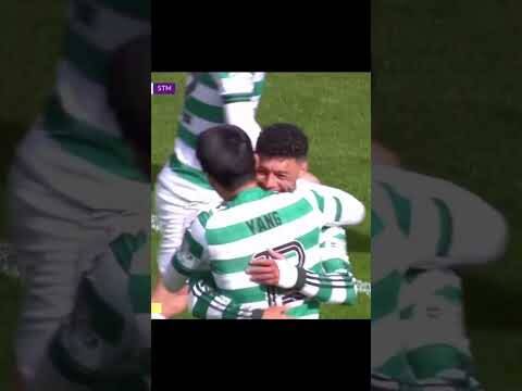 The Ox 🐂 🍀 #celtic