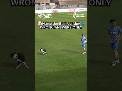 Name the Balmoor Dug 🙌🐕‍🦺 WRONG ANSWERS ONLY! 🤣