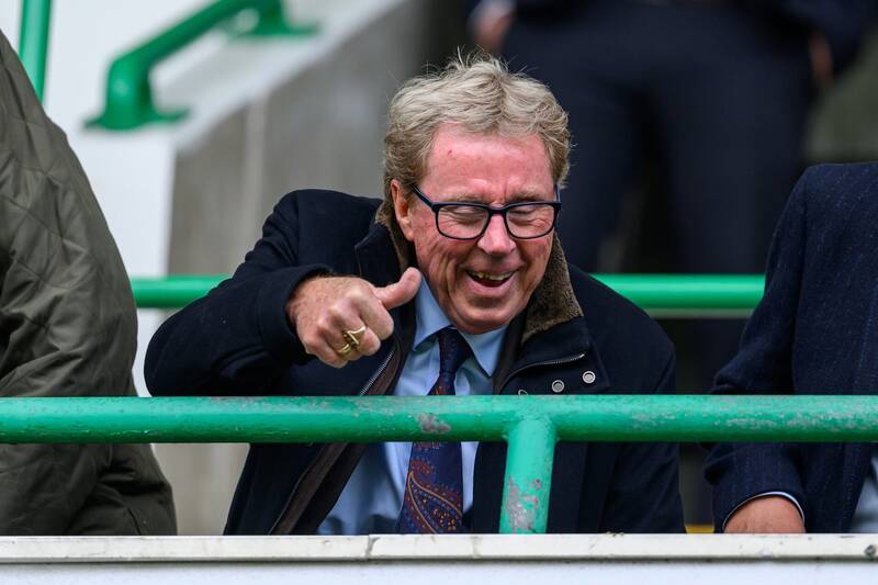 Harry Redknapp jokes about Celtic job after being spotted with Peter Lawwell