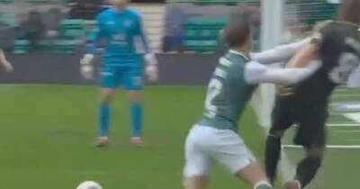 Celtic icon calls for VAR to be sacked over decision against Hibs and it’s not Joe Newell’s ‘handball’ goal