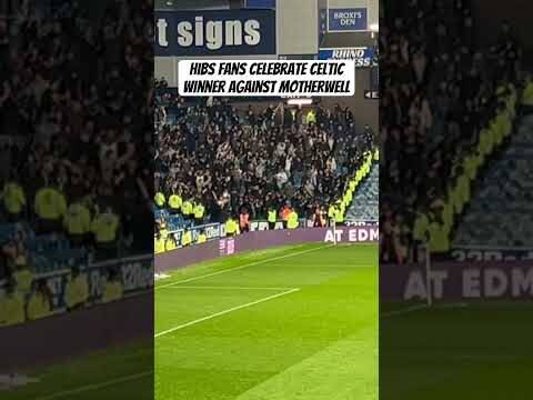 👀 Kelechi Iheanacho makes himself a Hibs cult-hero #spfl #hibs #celtic