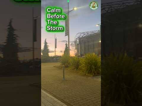 Good luck to Celtic in a few hours / A late walk around paradise