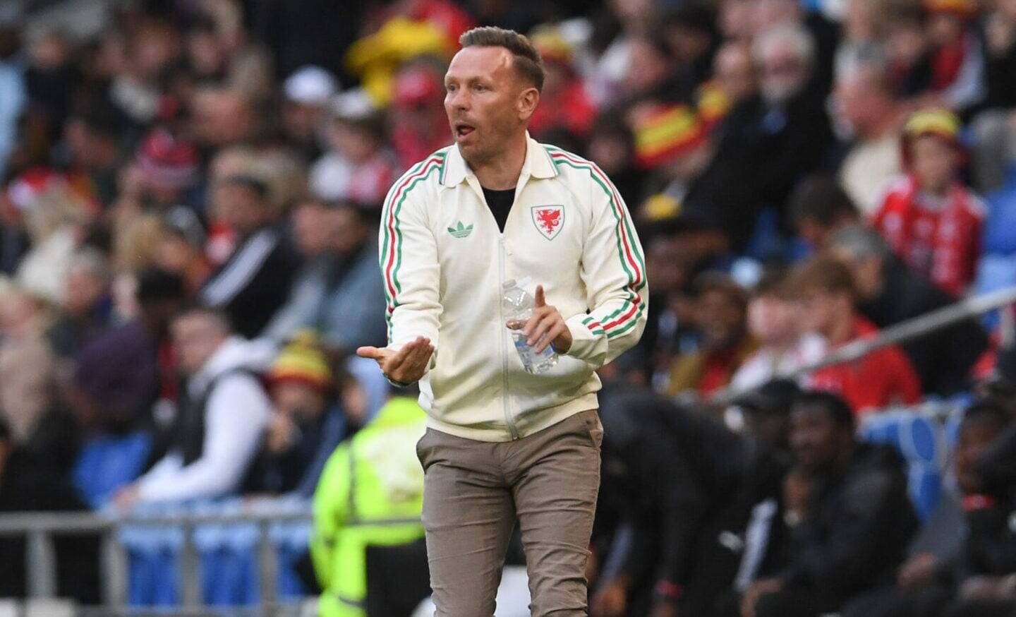 Craig Bellamy still in Celtic running despite Robbie Keane talks, Stephen McGowan says