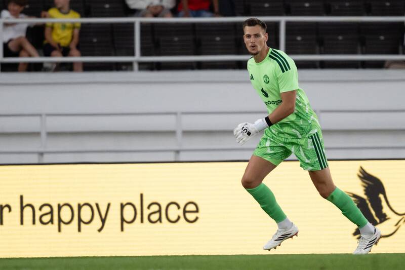 Radek Vitek has just given Celtic the cue to sign him after comments on Manchester United tour