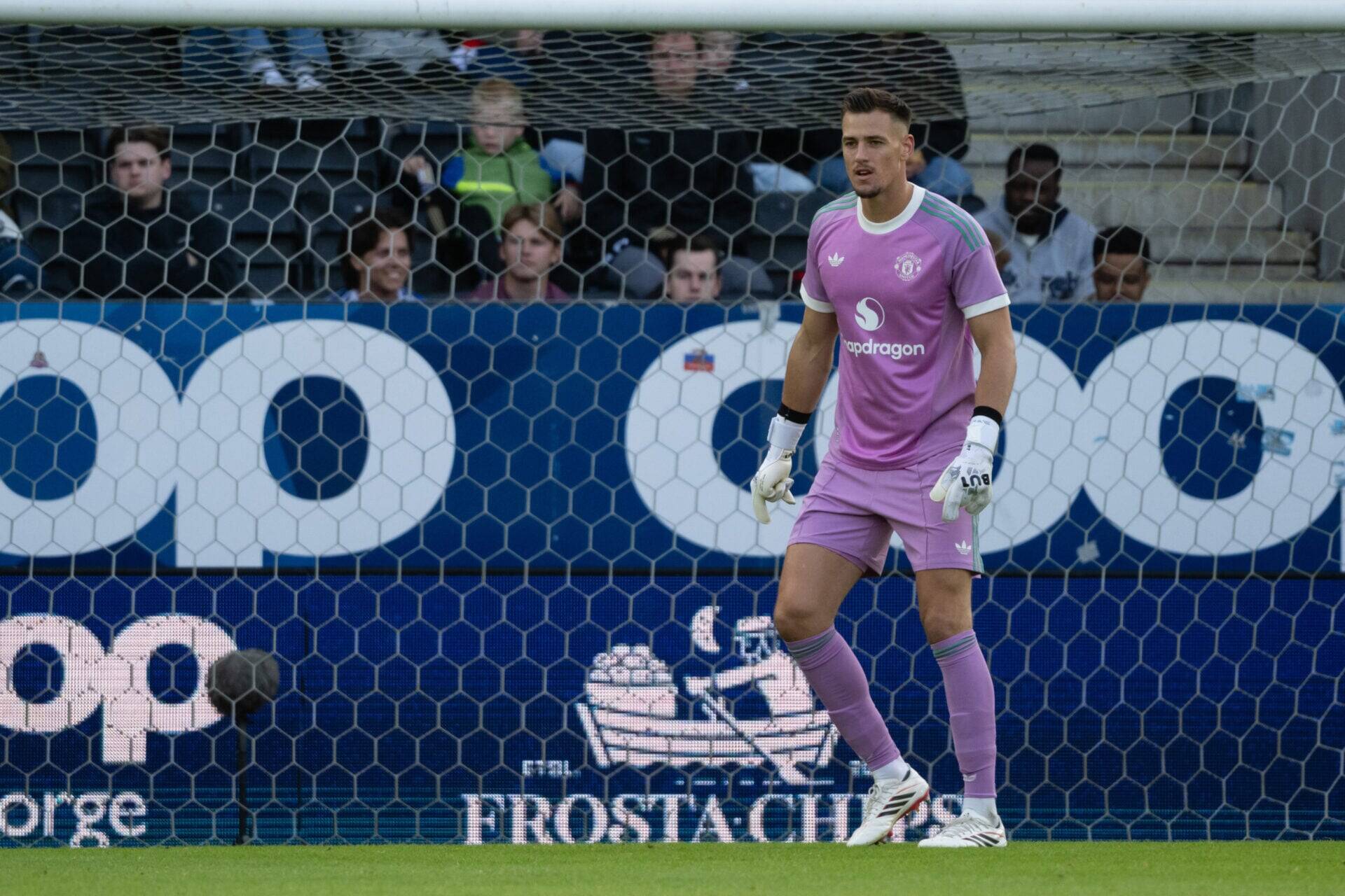 The latest transfer noise around Manchester United’s Radek Vítek after Celtic interest