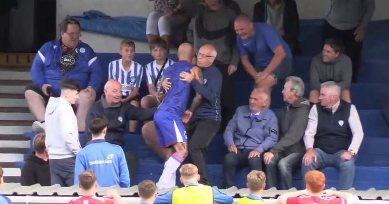 Footballer jumps in crowd, rips top off and tries to fight fan before being sent off