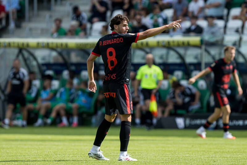 “I spoke to Luis and he spoke highly of the club,” Paulo Bernardo