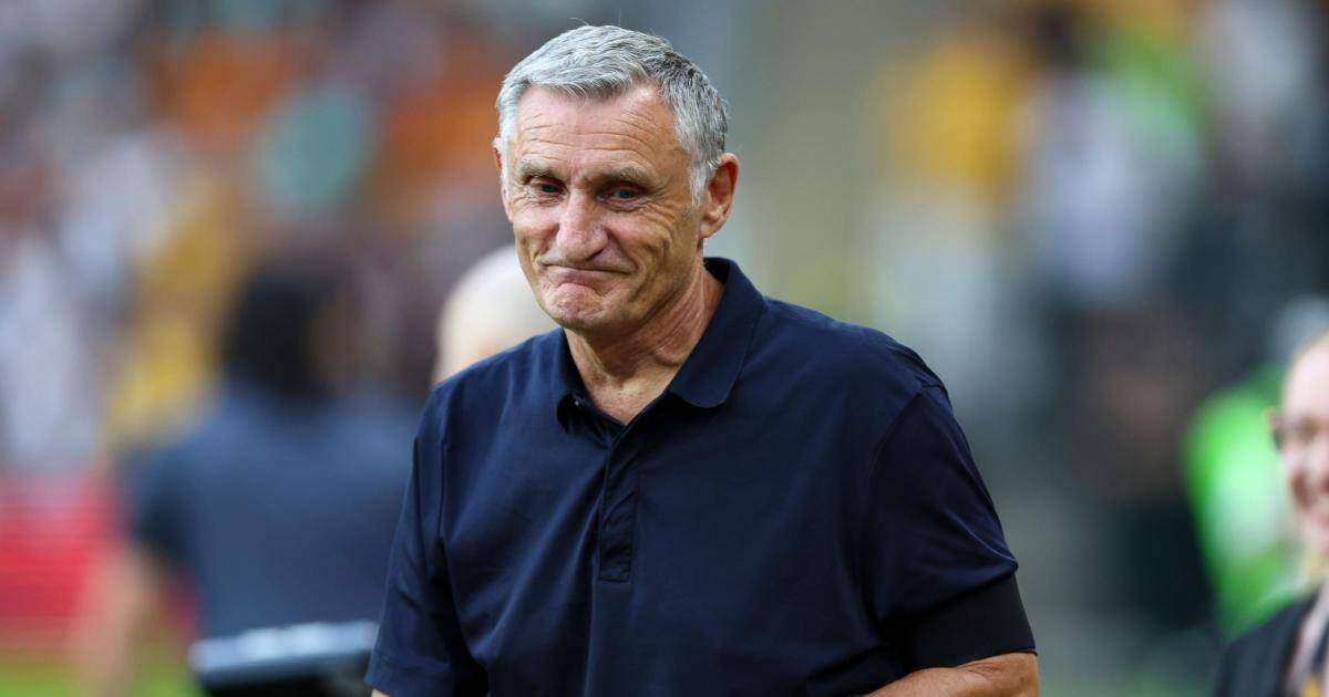 Tony Mowbray on what agents told him regarding Celtic transfer target Balazs Toth