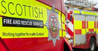 Celtic supporters’ bus operator says blaze ‘may have been caused by vandalism’