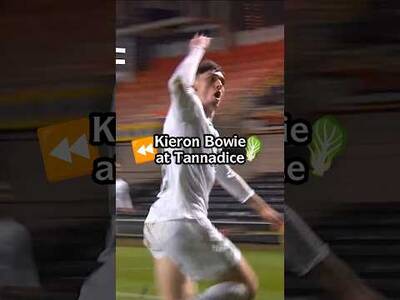 ⏪ BOWIE @ Tannadice 💥 ⏪ BOWIE @ Tannadice 💥