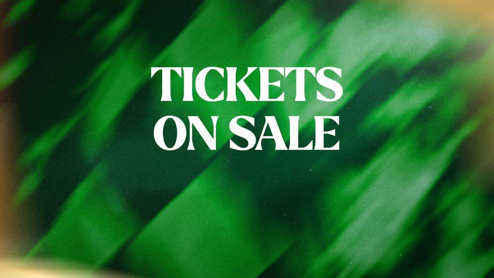 Tickets available for October fixtures at Paradise